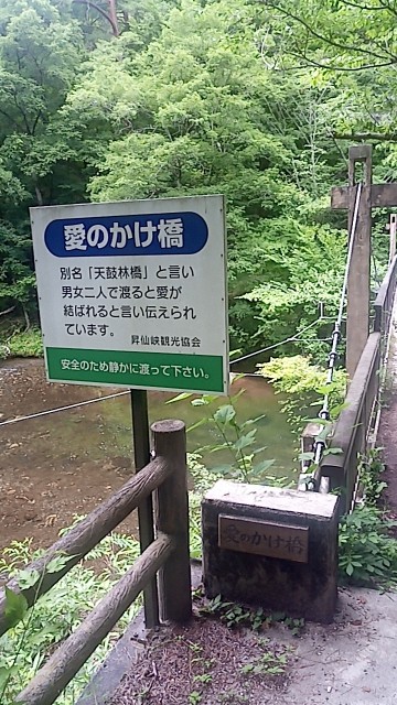 f:id:diver_tomo2002:20180627211338j:image f:id:diver_tomo2002:20180627211338j:image