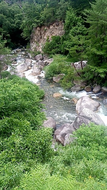 f:id:diver_tomo2002:20180627211349j:image f:id:diver_tomo2002:20180627211349j:image