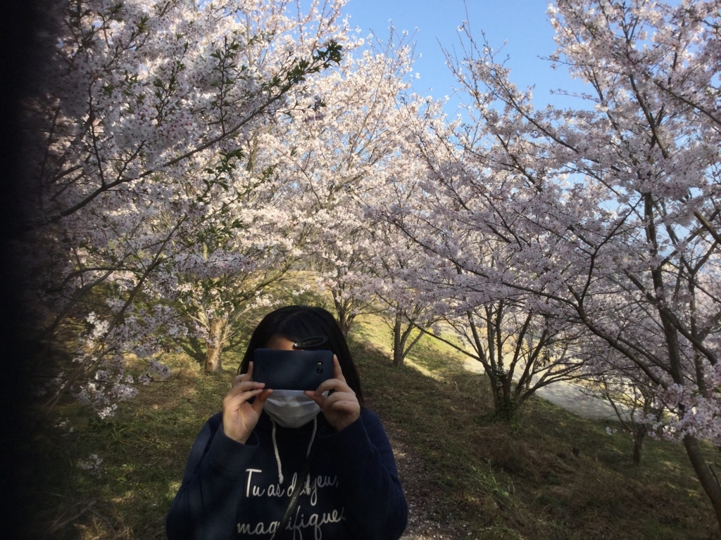 f:id:diveroreda713:20180401091156j:plain
