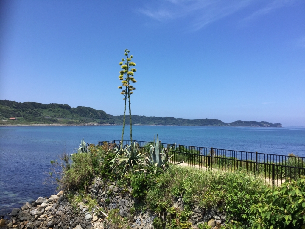 f:id:diveroreda713:20180726115049j:plain