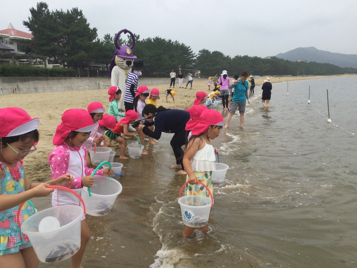 f:id:diveroreda713:20190705170916j:plain
