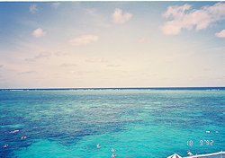 f:id:diveseaforest:20190402163911j:plain