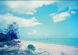 f:id:diveseaforest:20190402165137j:plain