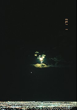 f:id:diveseaforest:20190402165504j:plain