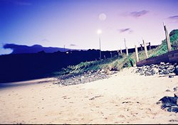 f:id:diveseaforest:20190402165601j:plain