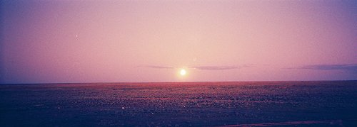 f:id:diveseaforest:20190402190255j:plain