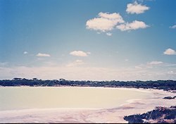 f:id:diveseaforest:20190402192325j:plain