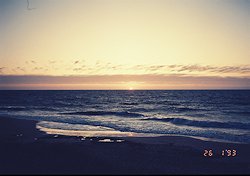 f:id:diveseaforest:20190402193111j:plain