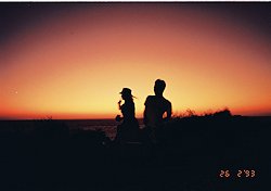 f:id:diveseaforest:20190402205556j:plain