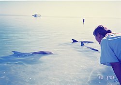 f:id:diveseaforest:20190402205955j:plain