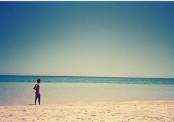 f:id:diveseaforest:20190402210100j:plain