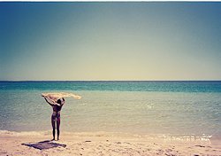 f:id:diveseaforest:20190402210107j:plain