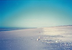 f:id:diveseaforest:20190402210728j:plain
