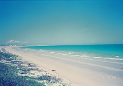 f:id:diveseaforest:20190402210801j:plain