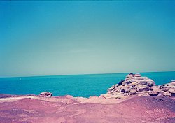 f:id:diveseaforest:20190402210840j:plain