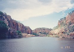 f:id:diveseaforest:20190402212422j:plain