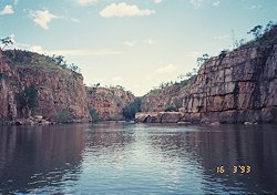f:id:diveseaforest:20190402212539j:plain