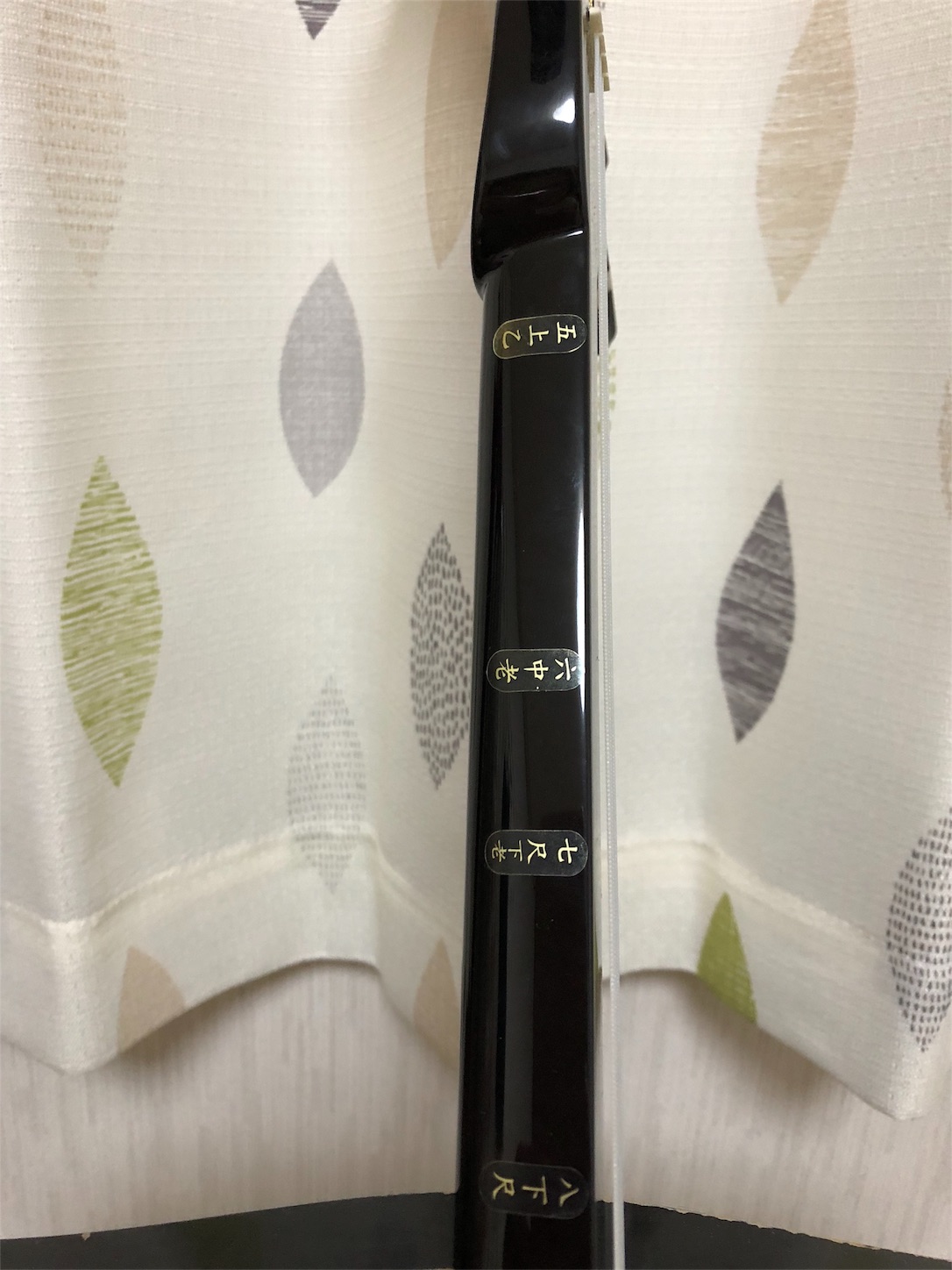 f:id:diving11874tan:20190210185709j:image