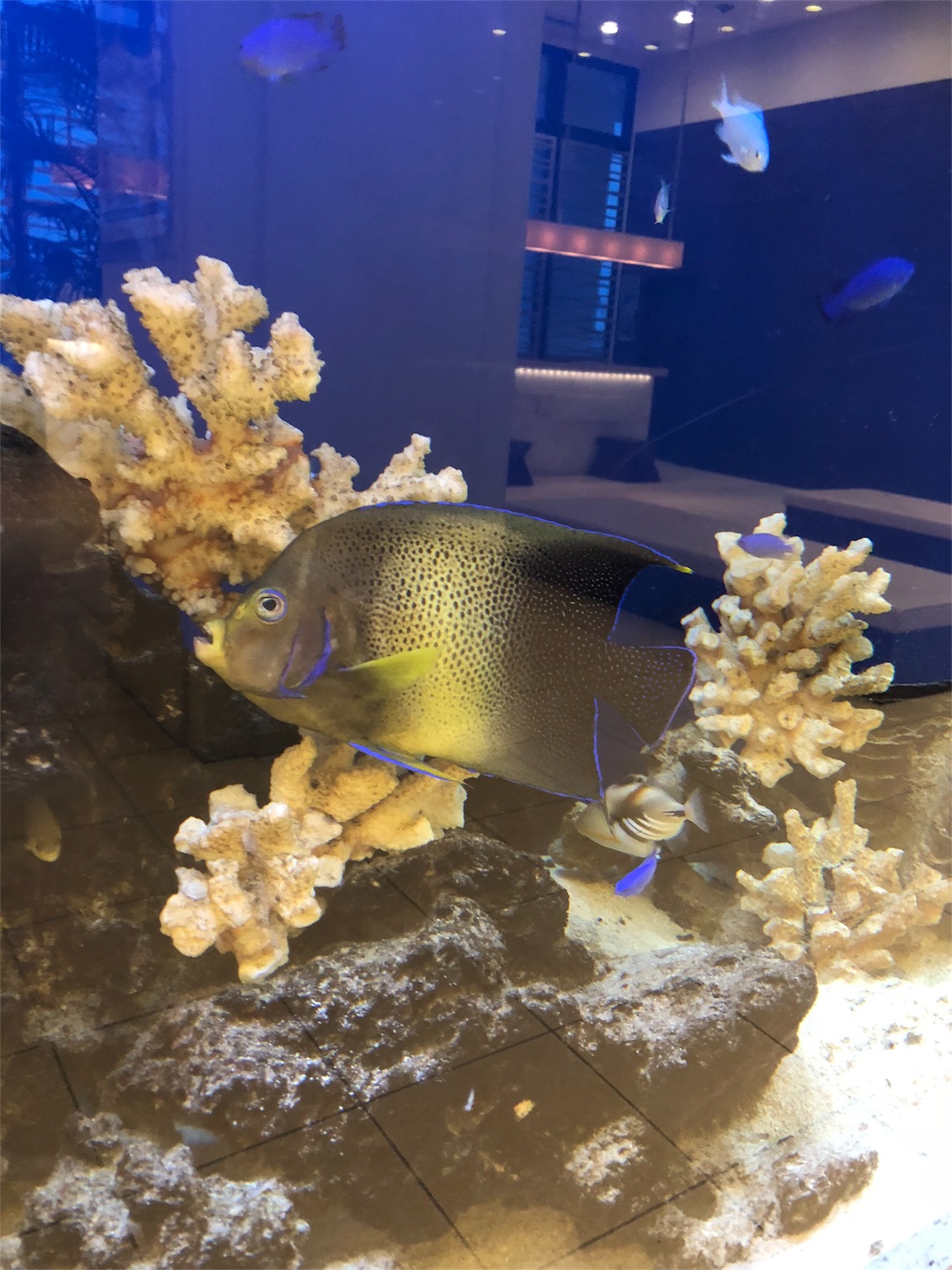 f:id:diving11874tan:20200812184759j:image