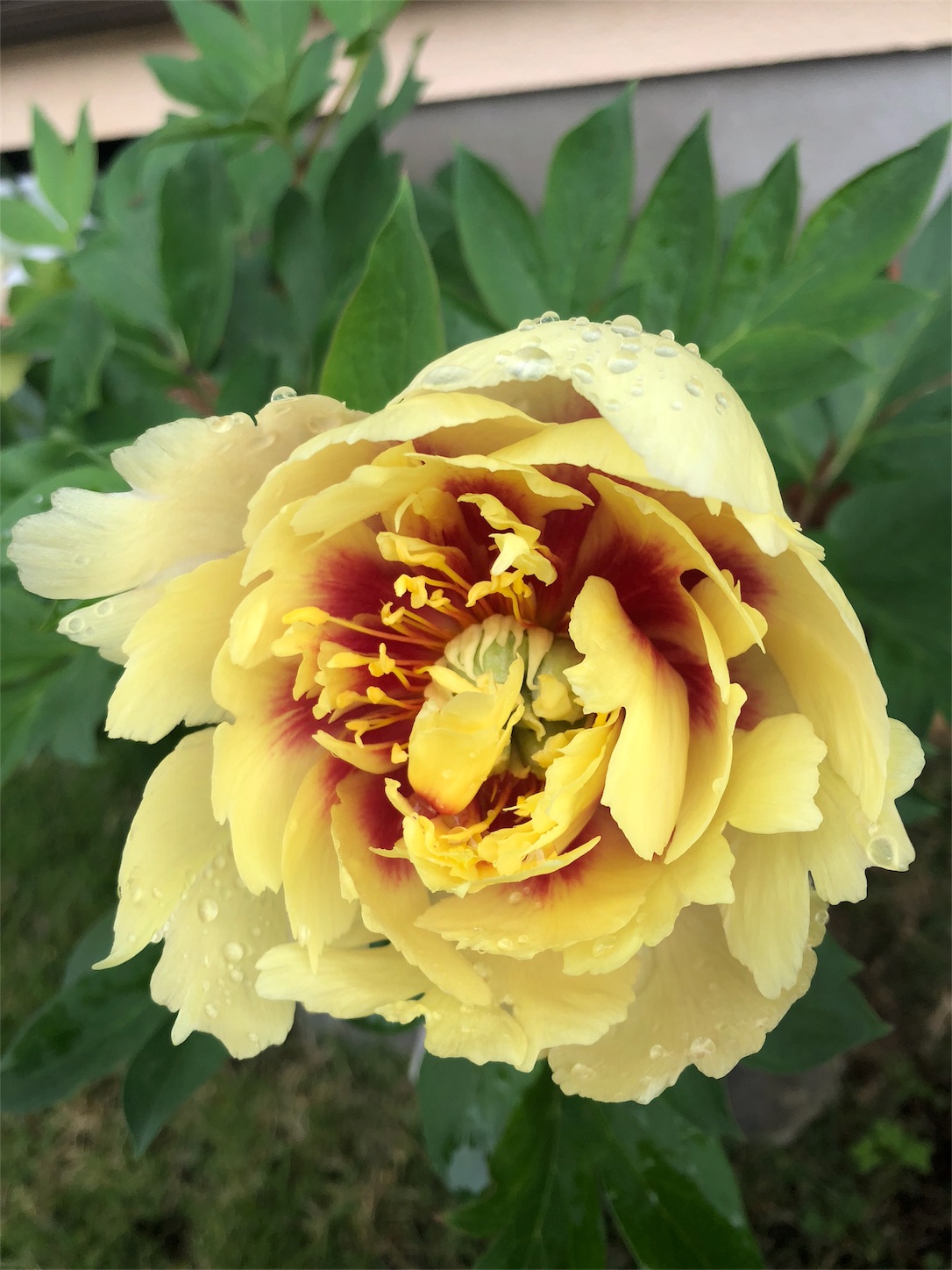 f:id:diving11874tan:20210522152626j:image