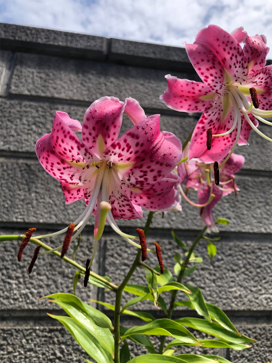 f:id:diving11874tan:20220825065427j:image