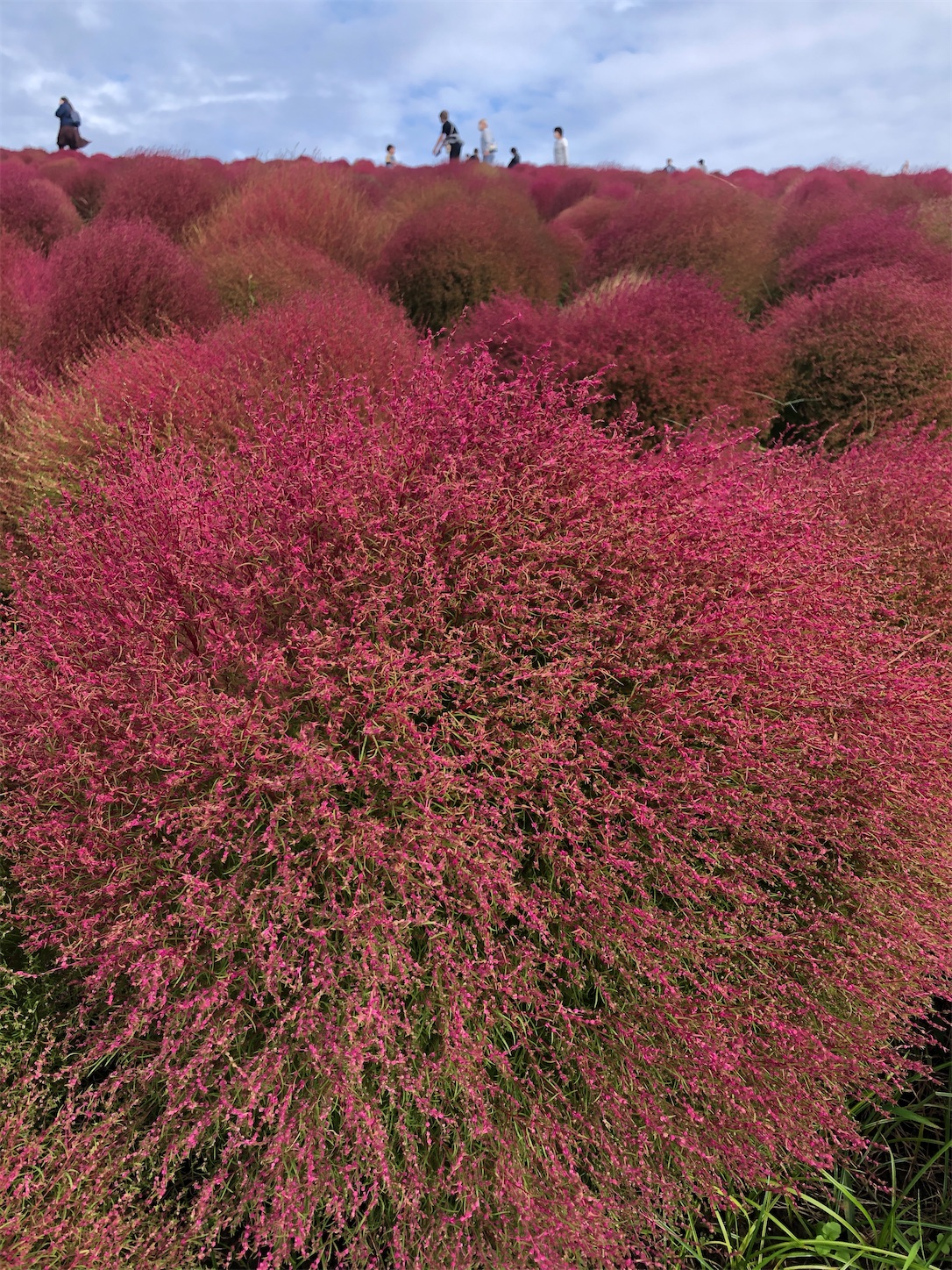 f:id:diving11874tan:20221014180445j:image