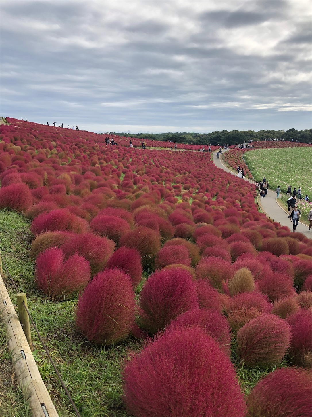 f:id:diving11874tan:20221014180609j:image