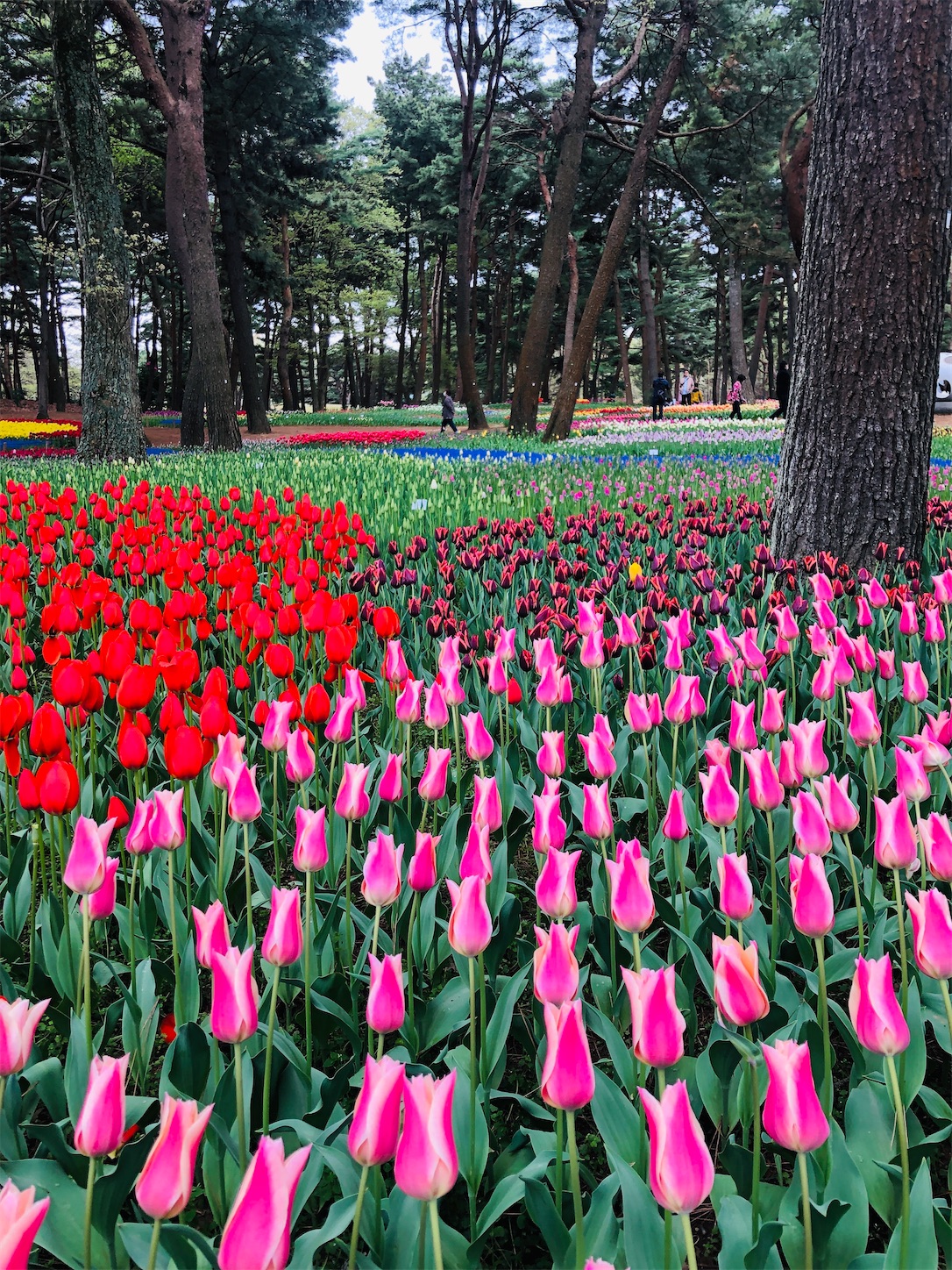 f:id:diving11874tan:20230408143427j:image