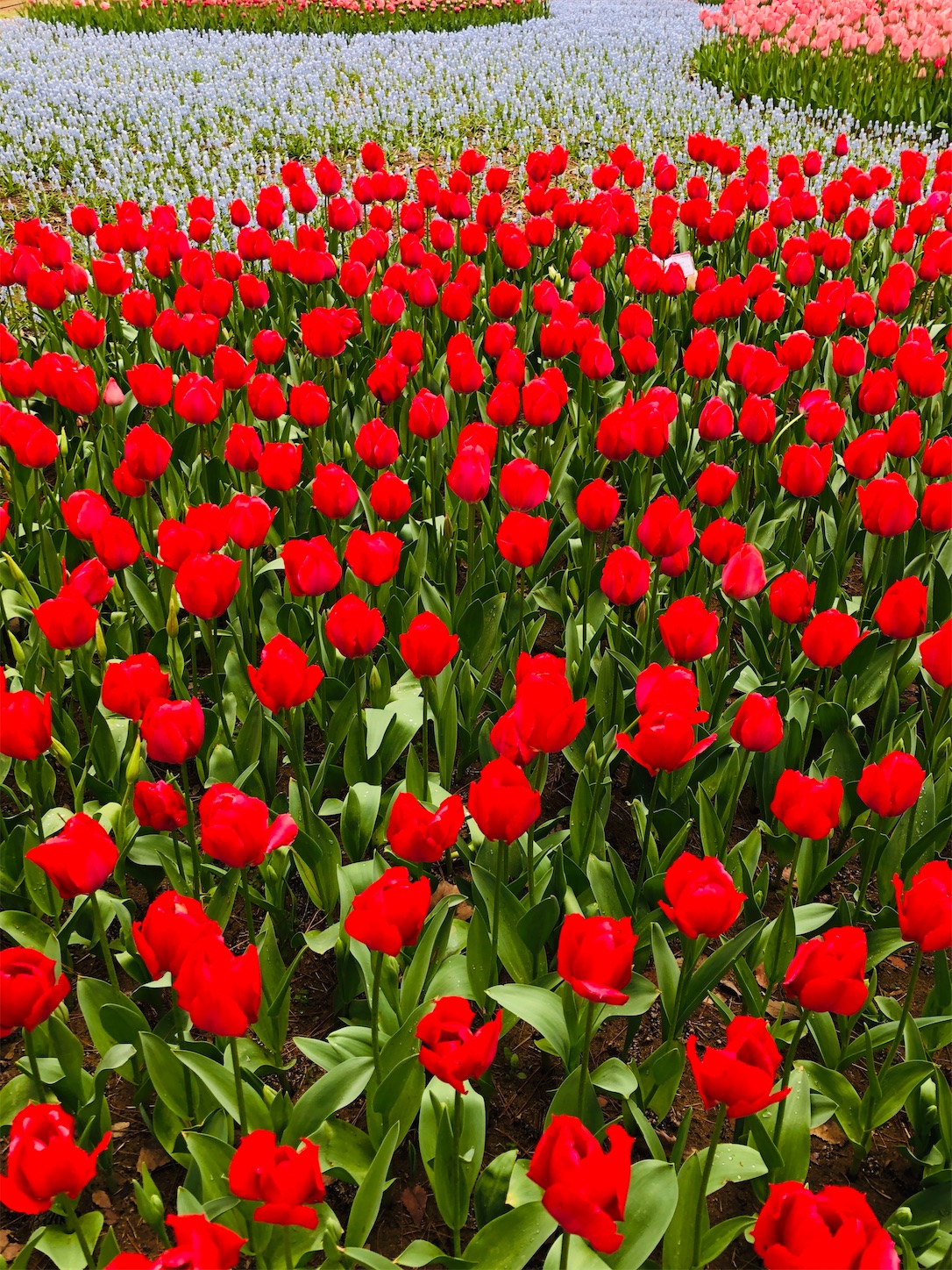 f:id:diving11874tan:20230408143431j:image