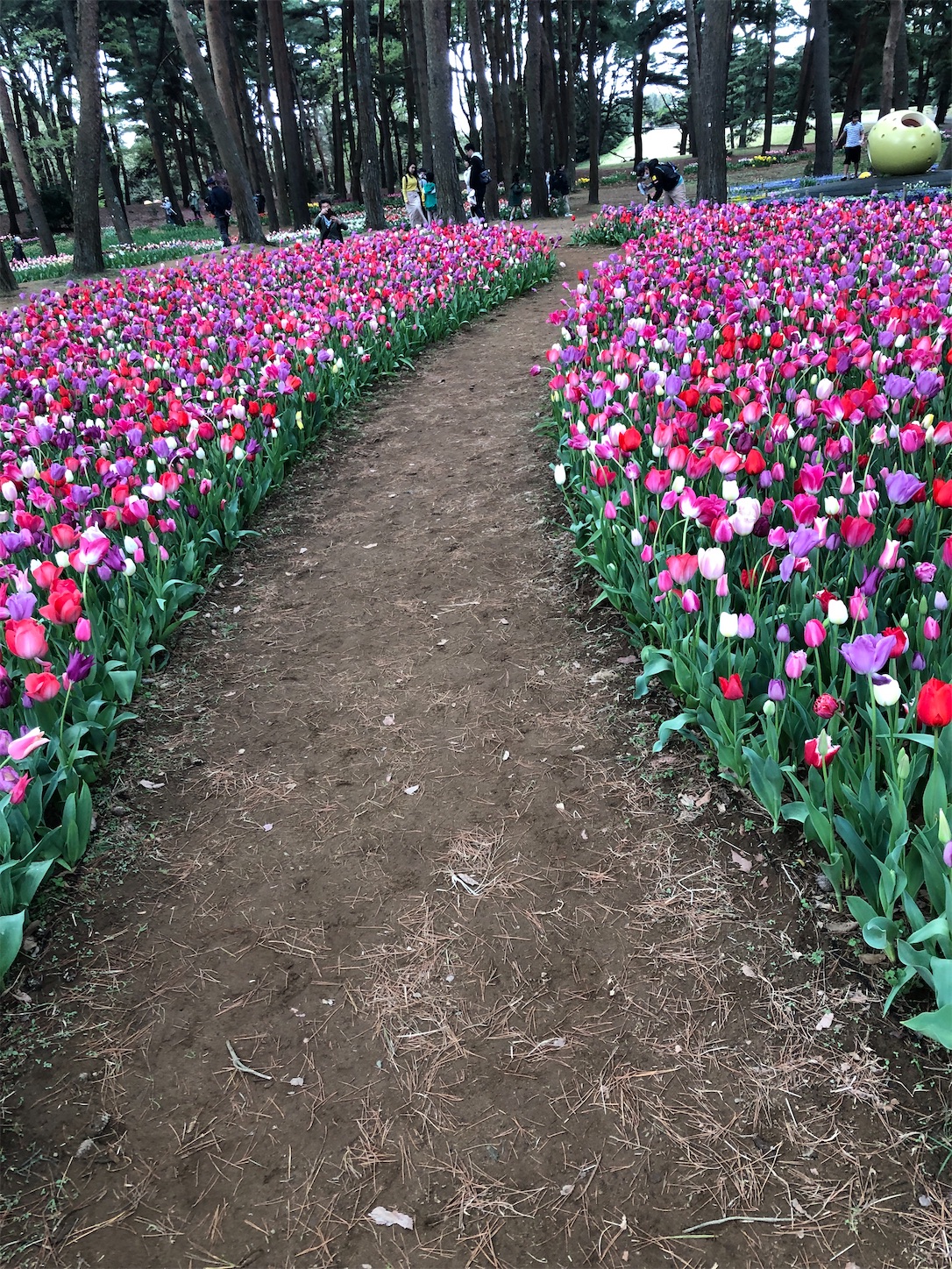 f:id:diving11874tan:20230408143437j:image