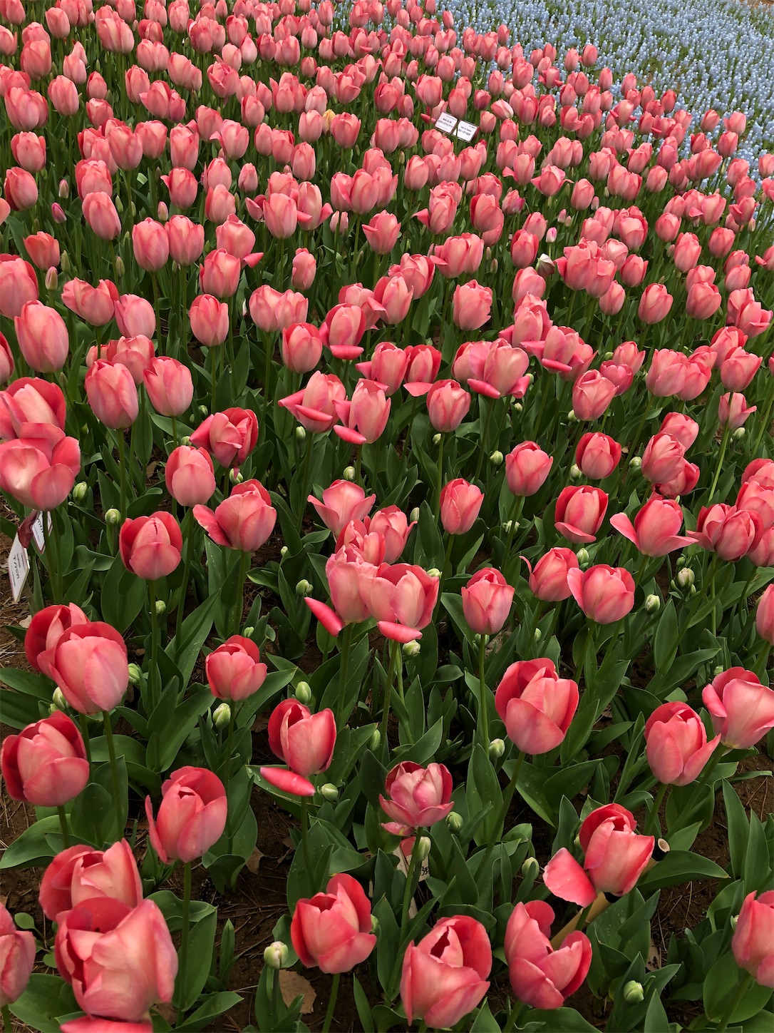 f:id:diving11874tan:20230408143457j:image