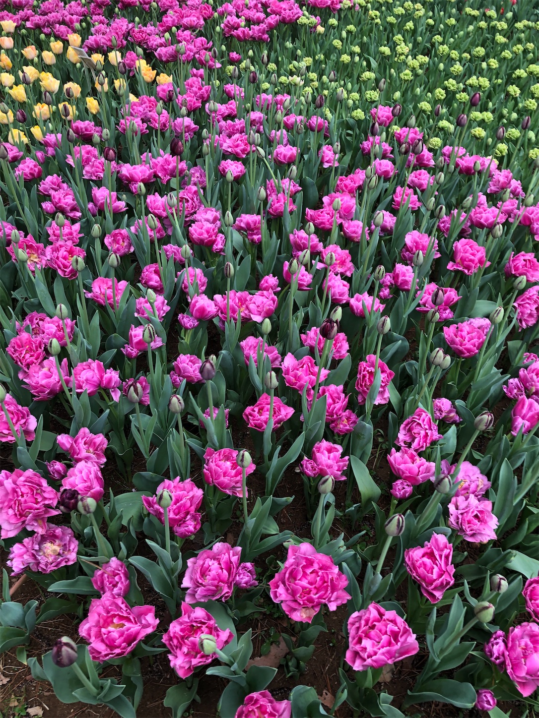 f:id:diving11874tan:20230408143510j:image