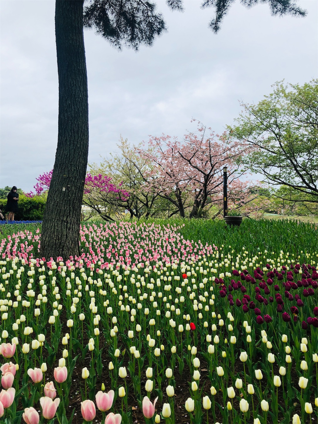 f:id:diving11874tan:20230408143515j:image