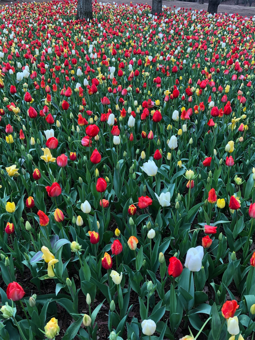 f:id:diving11874tan:20230408143525j:image