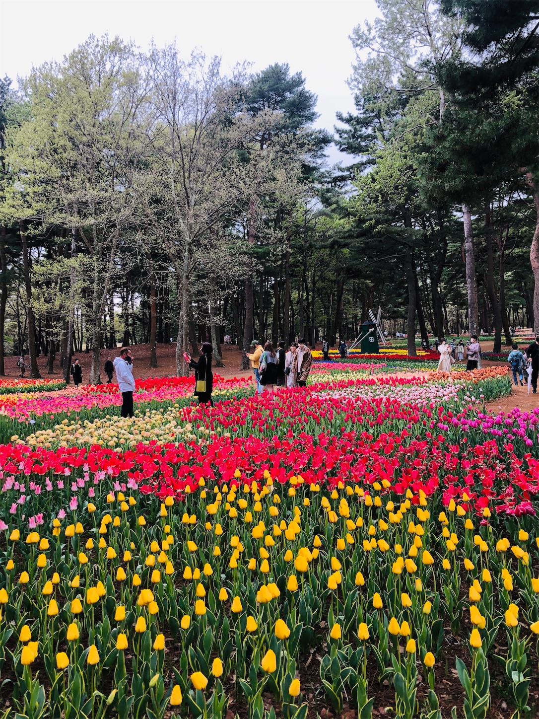 f:id:diving11874tan:20230408143530j:image