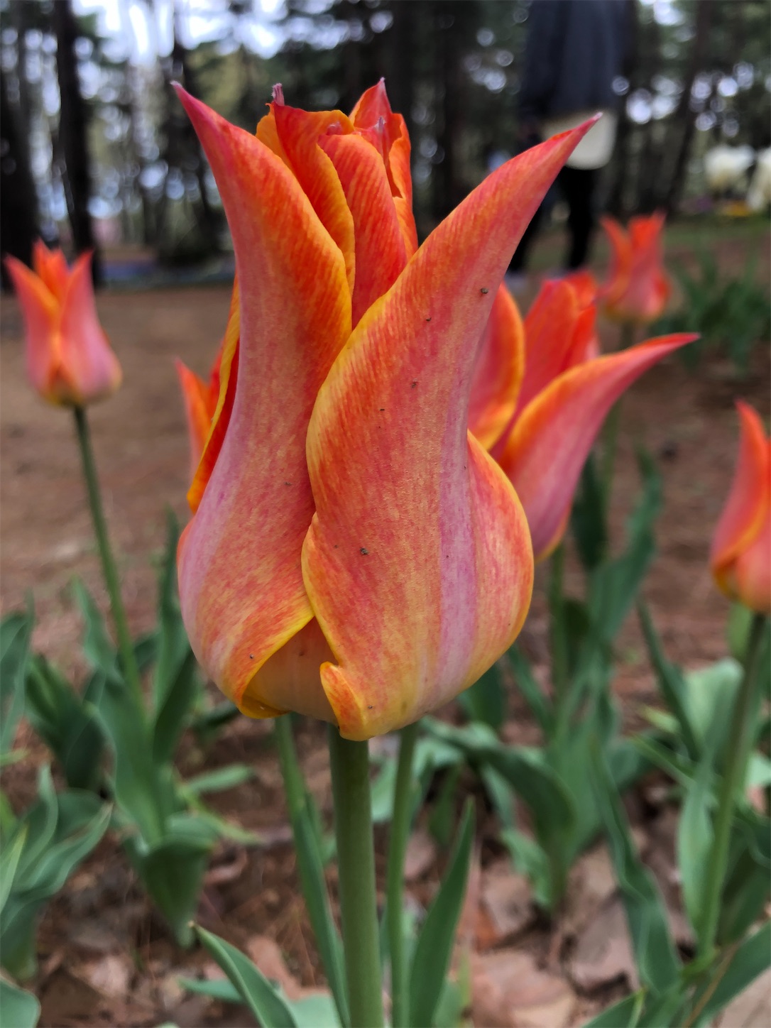 f:id:diving11874tan:20230408143716j:image