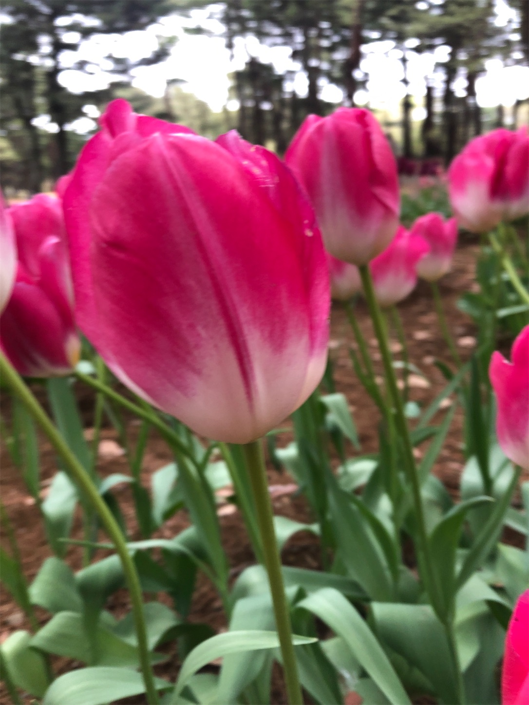 f:id:diving11874tan:20230408143720j:image