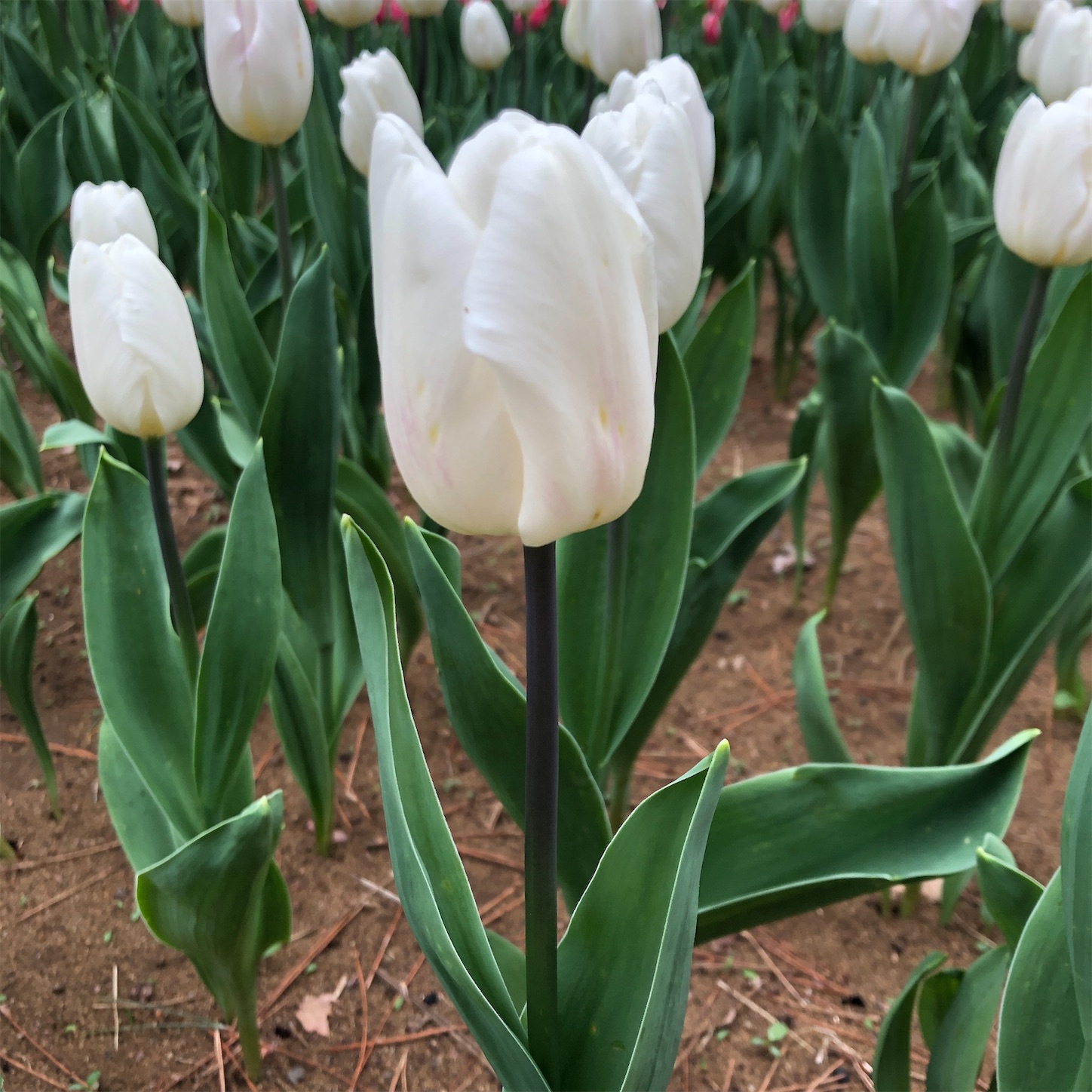 f:id:diving11874tan:20230408143740j:image