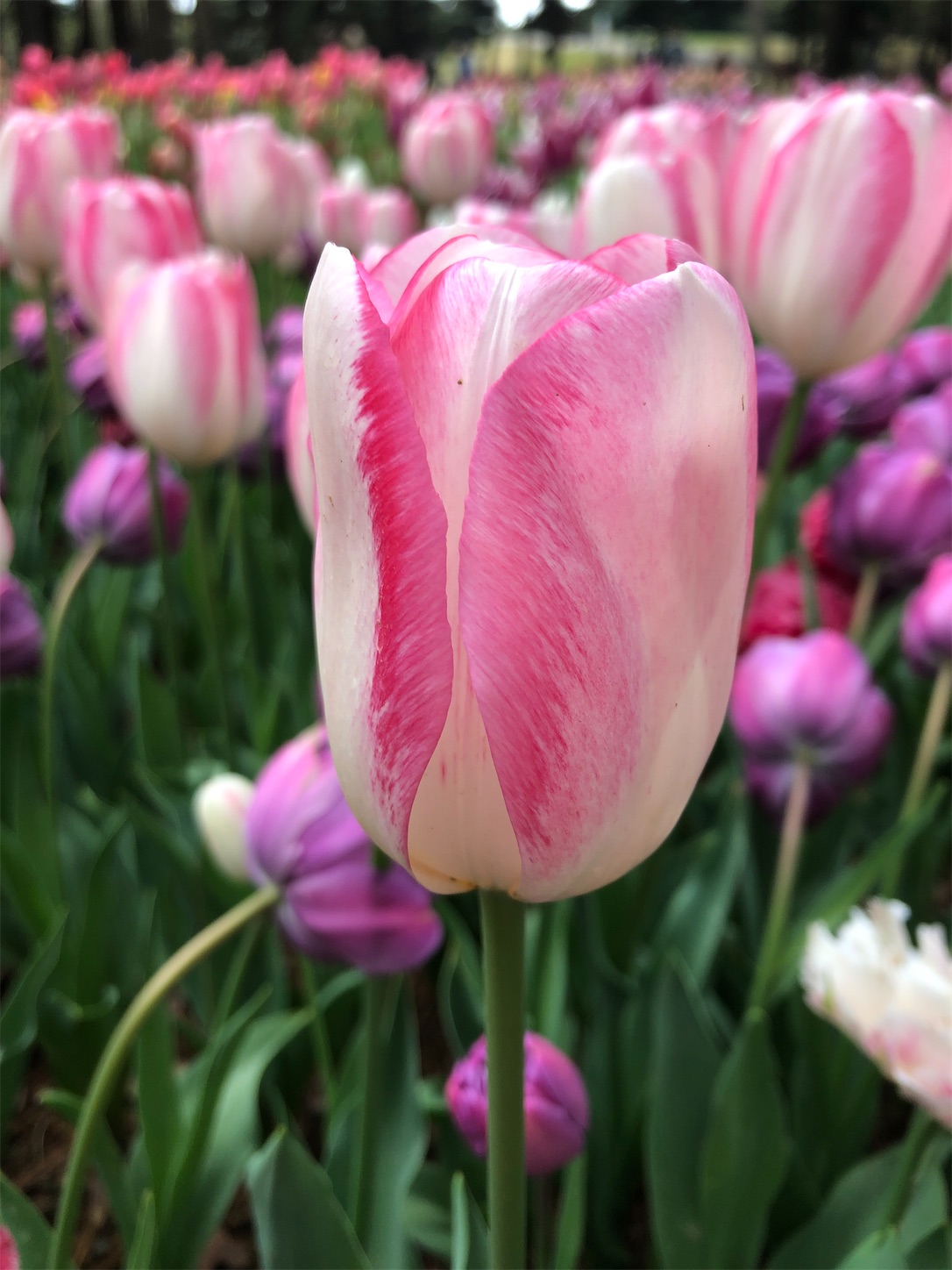 f:id:diving11874tan:20230408143756j:image