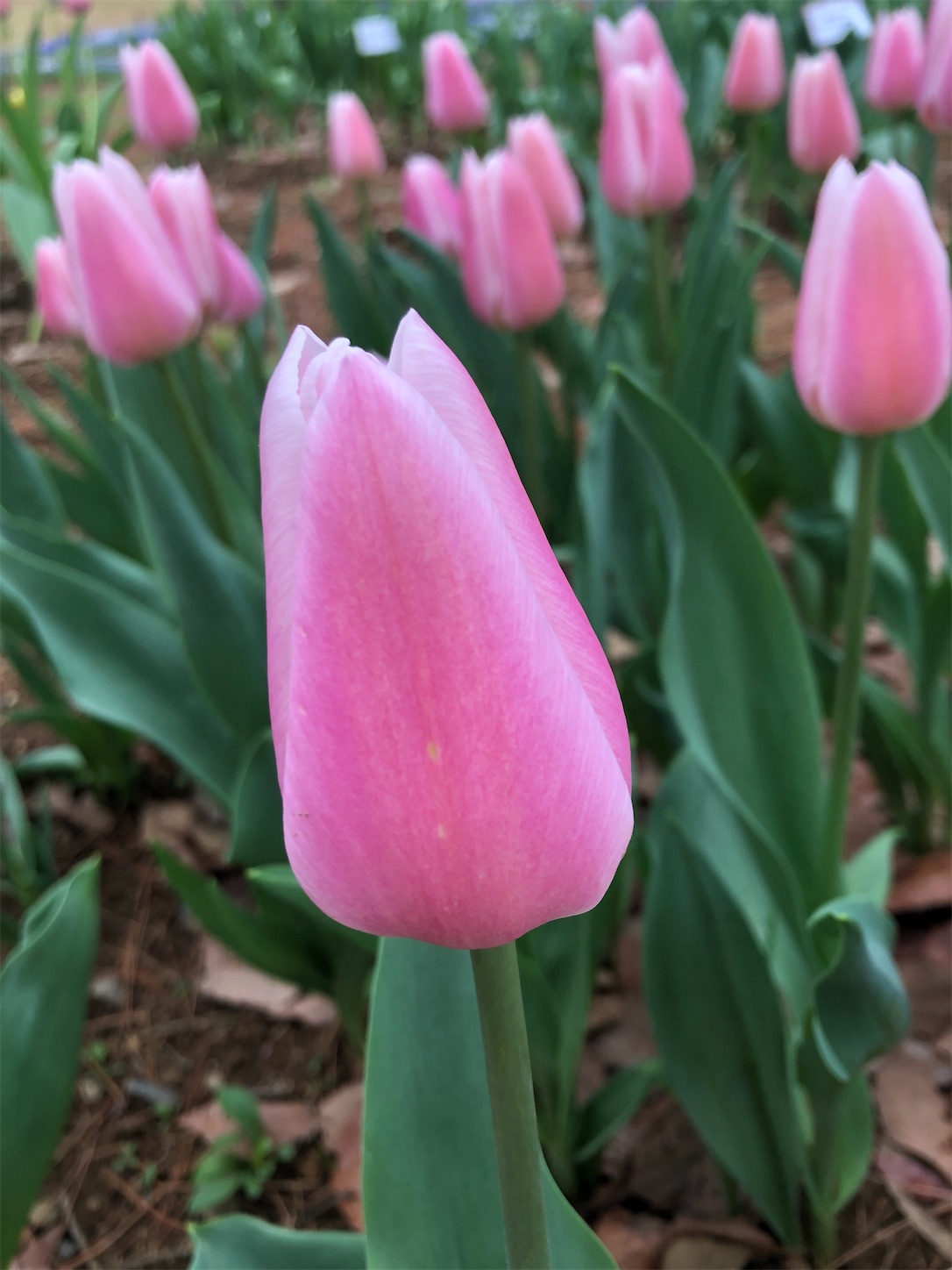 f:id:diving11874tan:20230408143812j:image