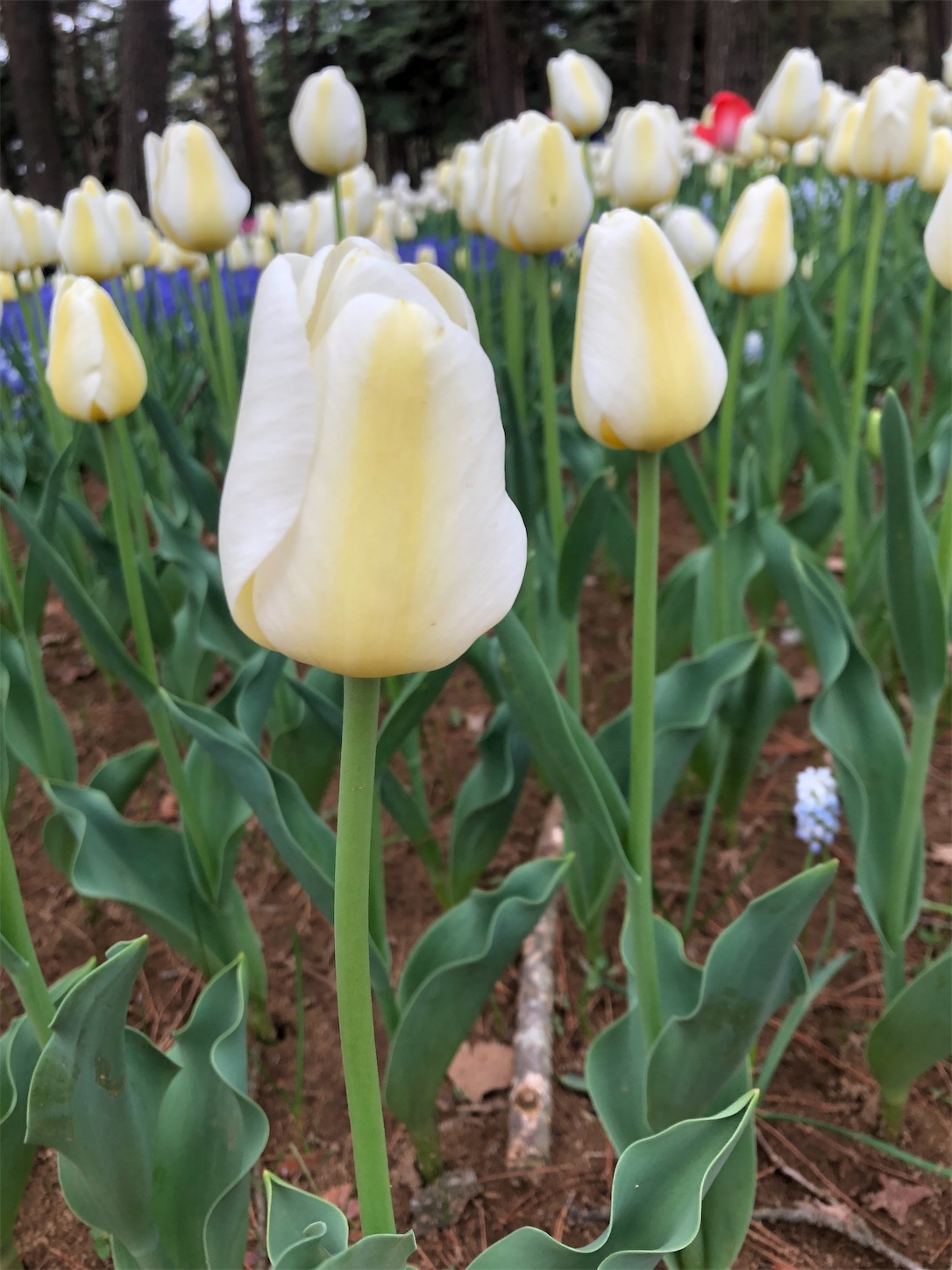 f:id:diving11874tan:20230408143816j:image