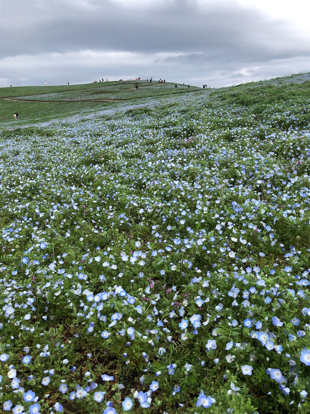 f:id:diving11874tan:20230408144800j:image