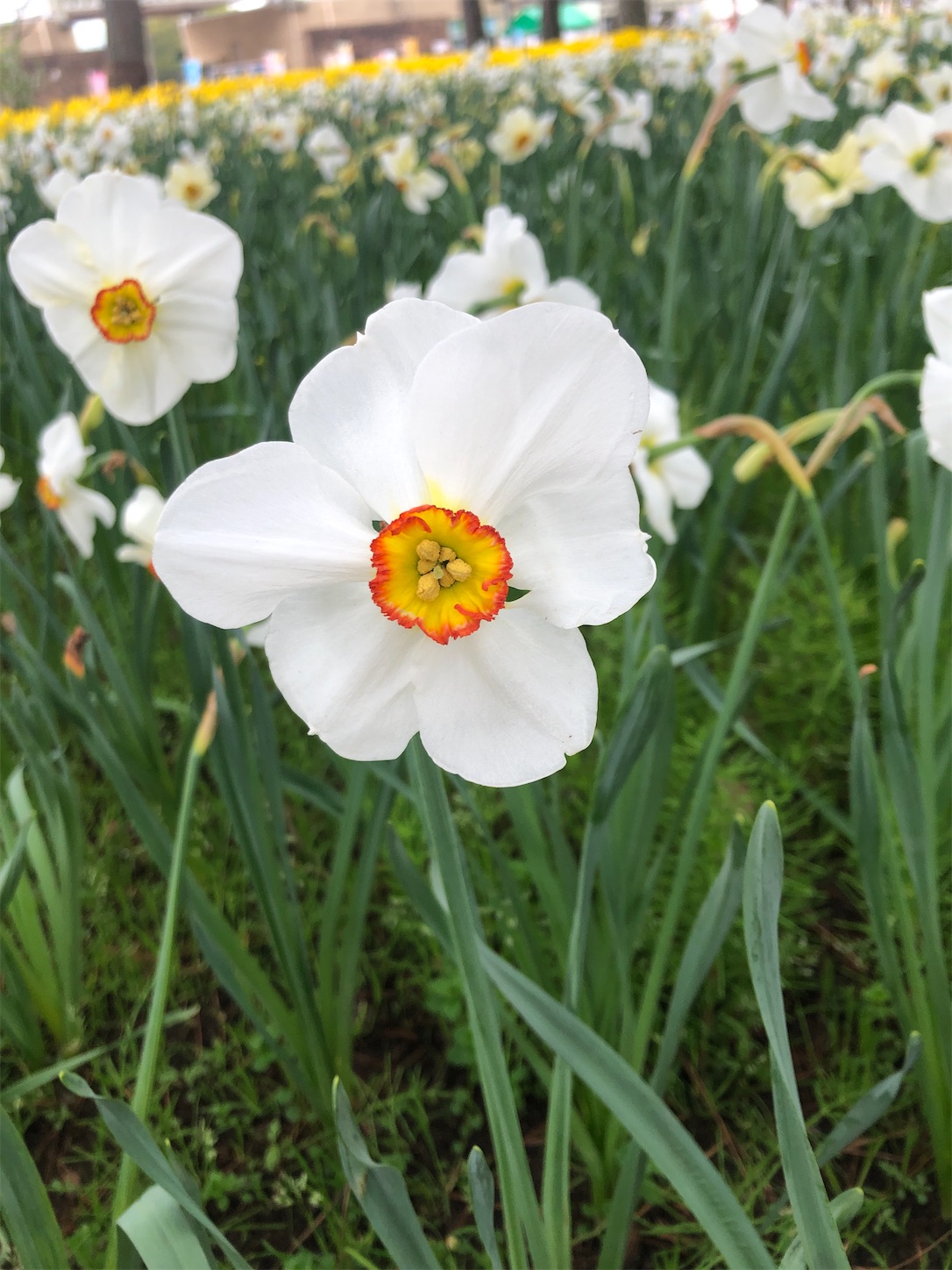 f:id:diving11874tan:20230408144810j:image