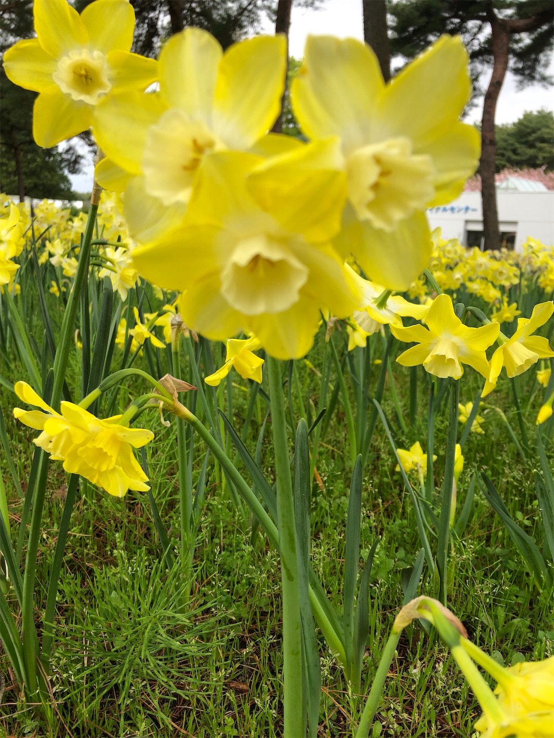 f:id:diving11874tan:20230408144818j:image