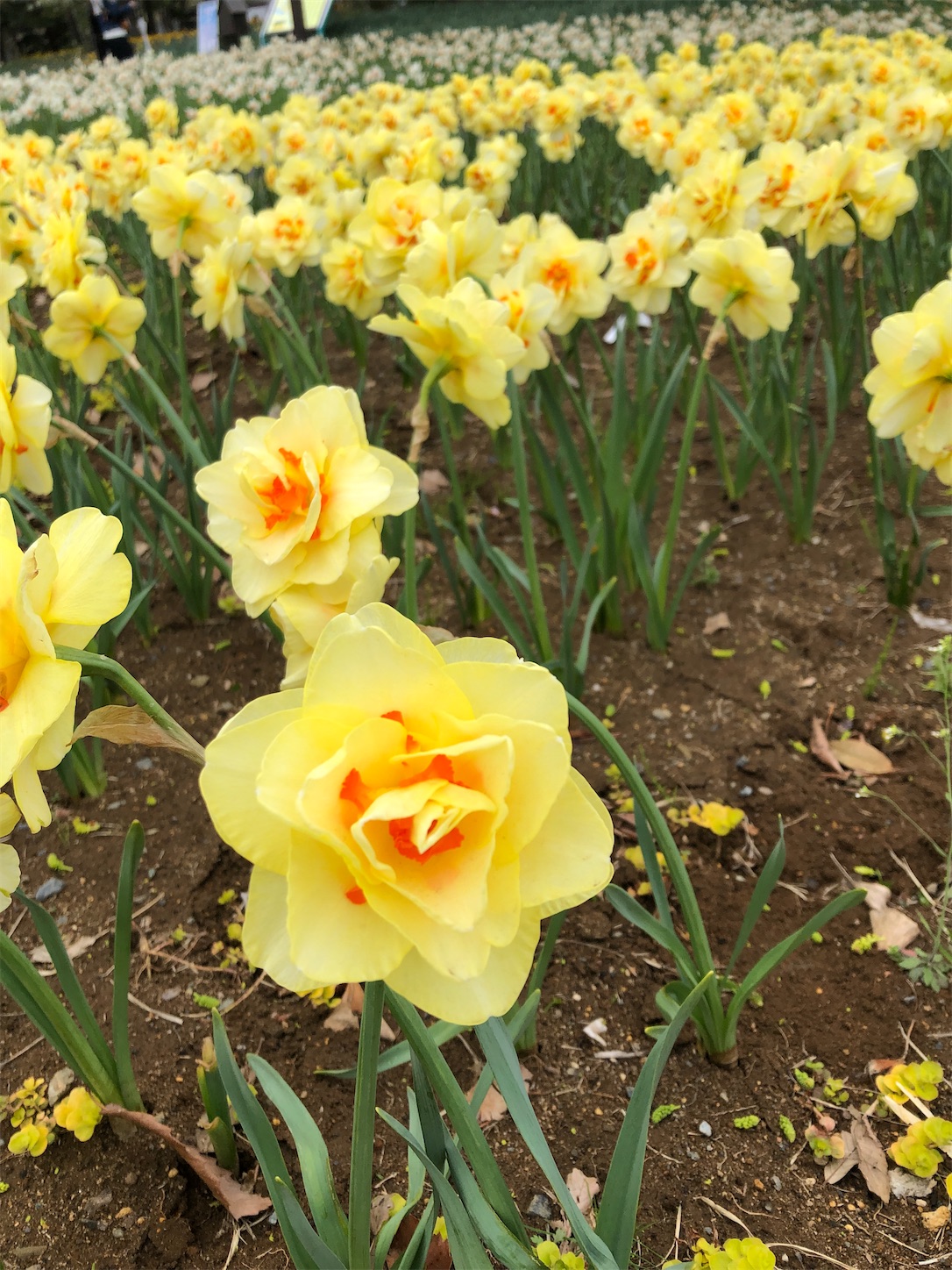 f:id:diving11874tan:20230408144827j:image