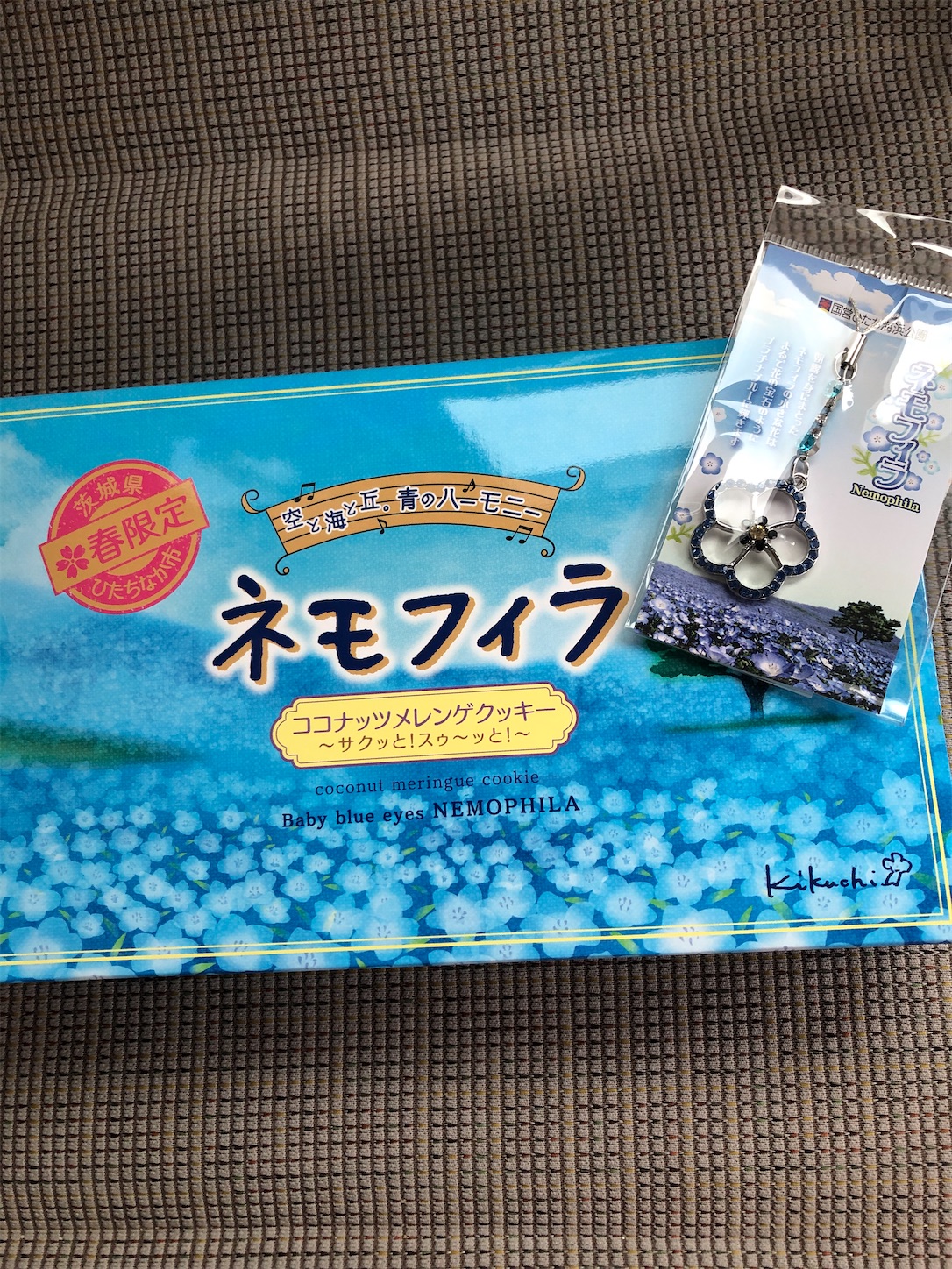 f:id:diving11874tan:20230408154757j:image