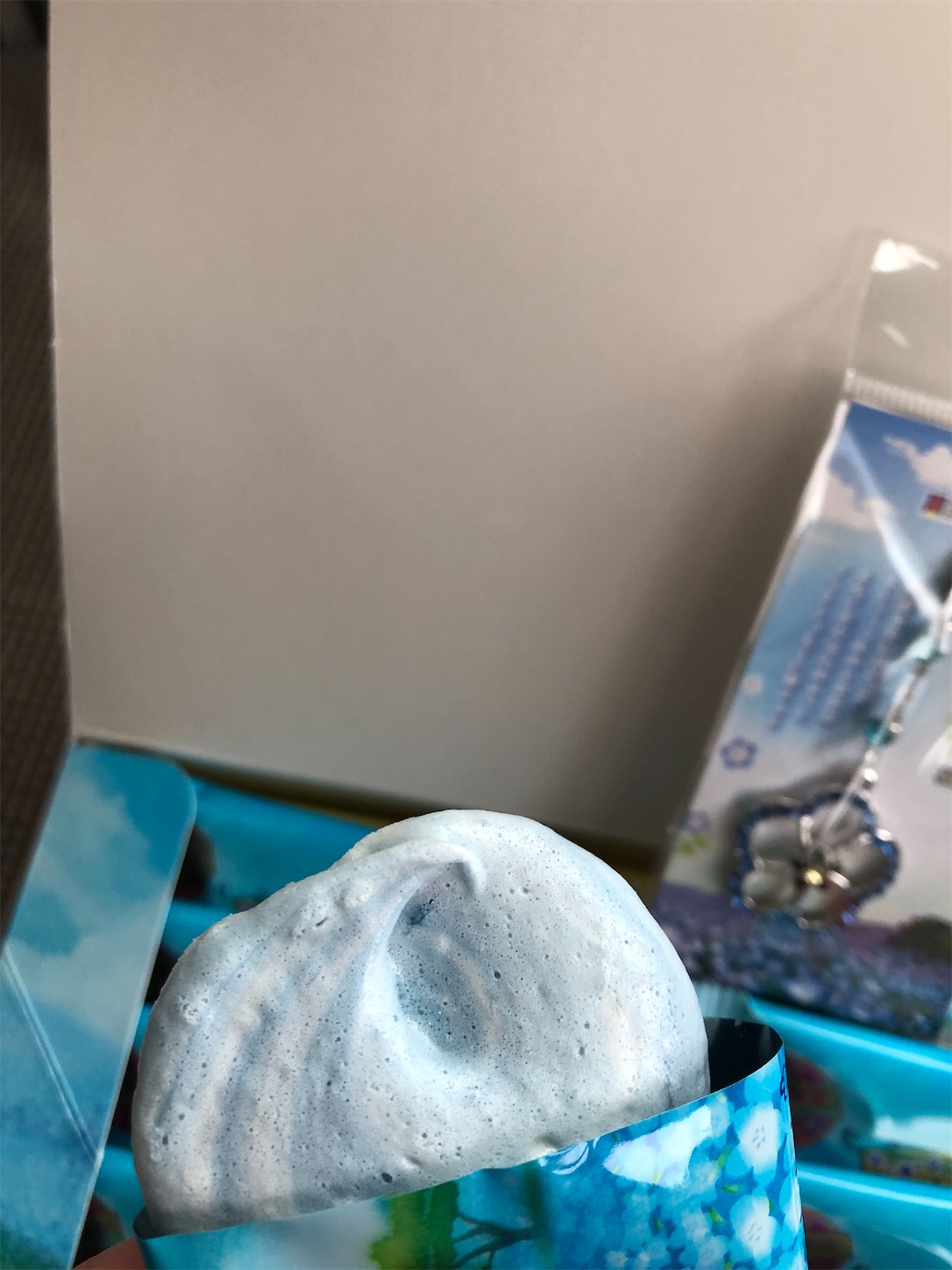 f:id:diving11874tan:20230408154808j:image