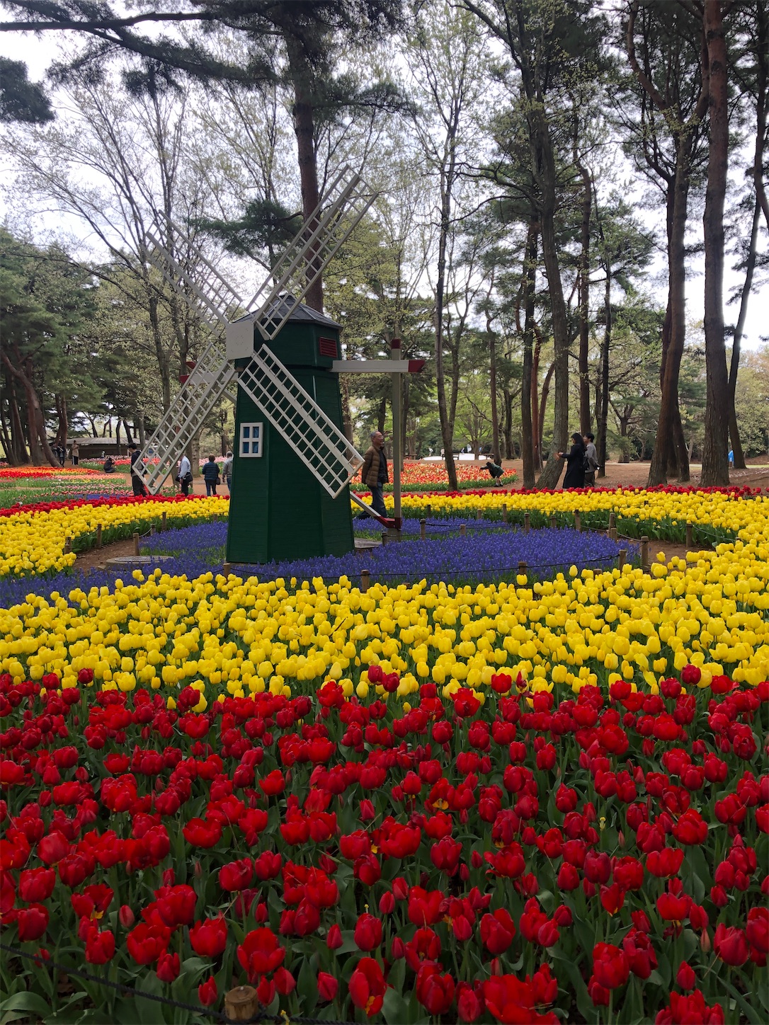 f:id:diving11874tan:20230408162144j:image