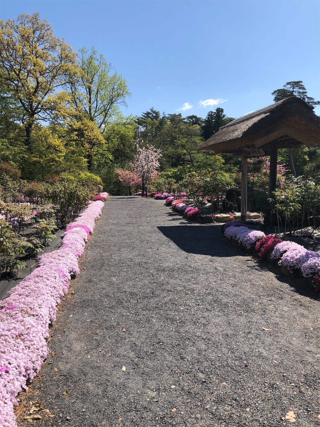 f:id:diving11874tan:20230423142418j:image