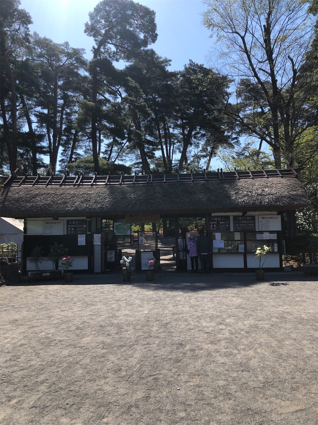 f:id:diving11874tan:20230423142422j:image